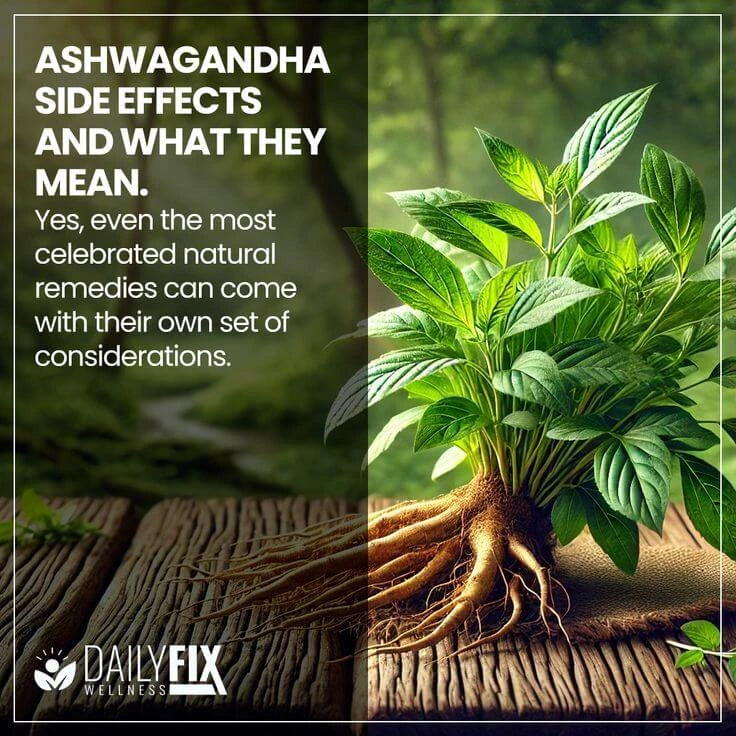 ASHWAGANDHA - 2 x 129  REDUCE EL ESTRÉS - MEJORA EL SUEÑO - REDUCE EL CORTISOL